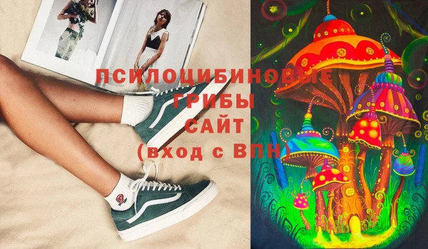 сатива Аркадак