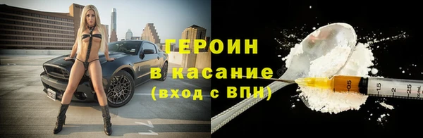 сатива Аркадак