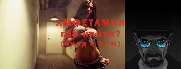 сатива Аркадак