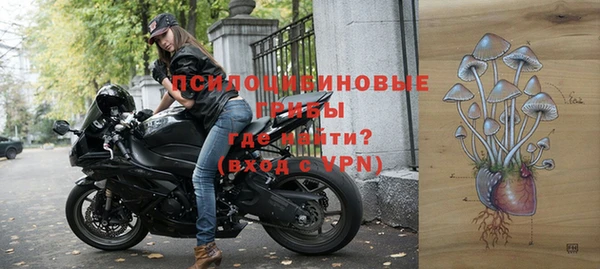 сатива Аркадак