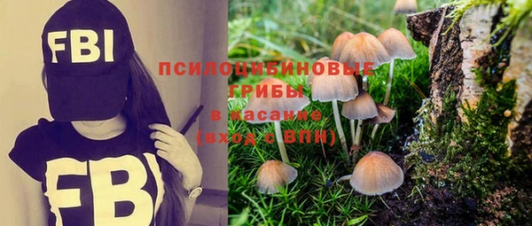сатива Аркадак