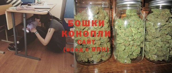 сатива Аркадак