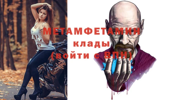 сатива Аркадак